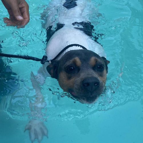 Imagem do WhatsApp de 2025-12-01 à(s) 12.31.49_993bf6ec