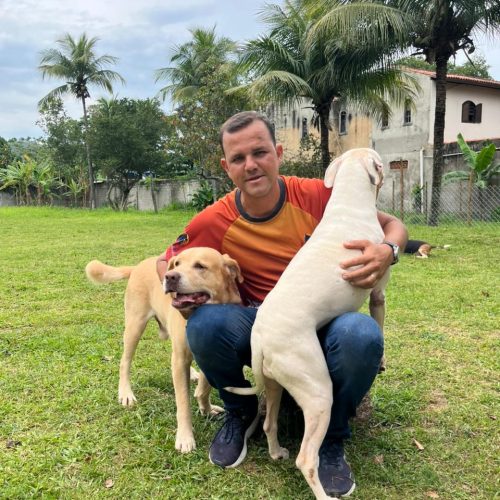 Imagem do WhatsApp de 2025-12-02 à(s) 15.09.38_7d091dd5