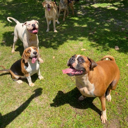 Imagem do WhatsApp de 2025-12-08 à(s) 18.31.36_4215b4ee